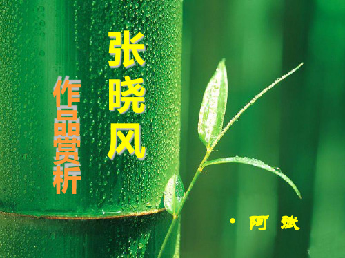 张晓风作品赏析