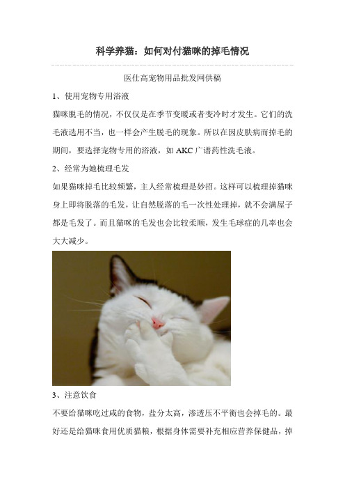科学养猫：如何对付猫咪的掉毛情况