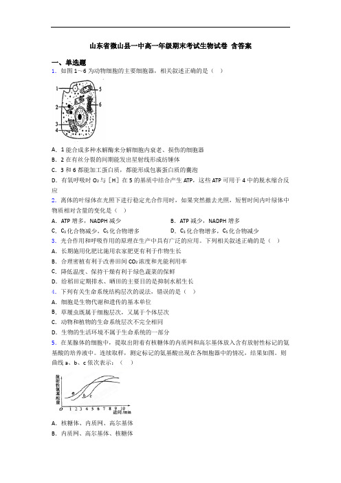 山东省微山县一中高一年级期末考试生物试卷 含答案