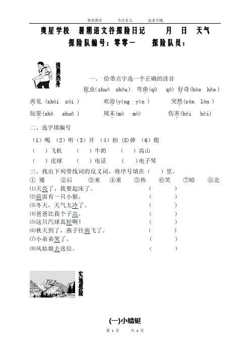 暑假语文核心素养衔接班阅读l理解与写作训练讲义 一 年级(一升二) 第二讲