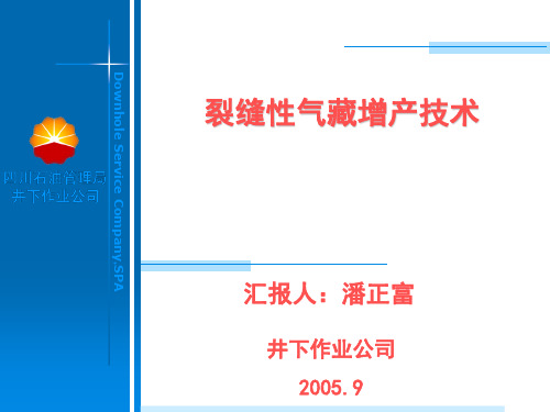 裂缝性气藏增产技术