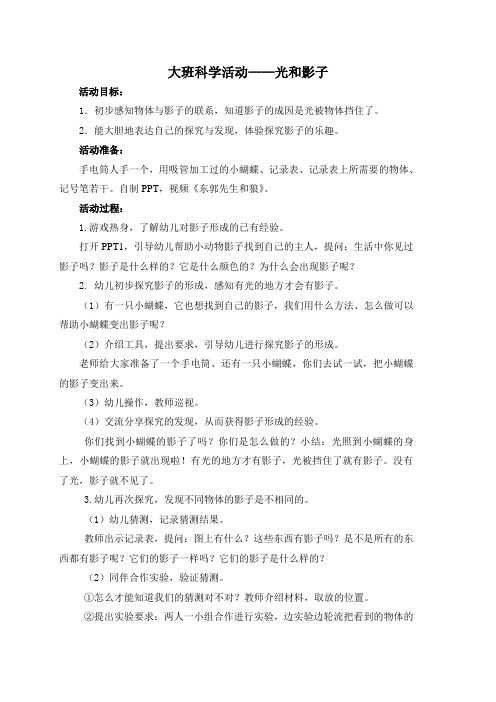 大班科学活动《光和影子》