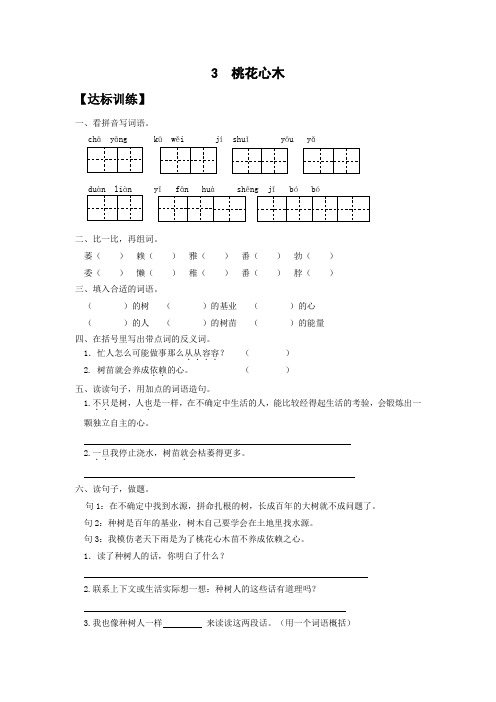 人教版语文六下《桃花心木》word练习题