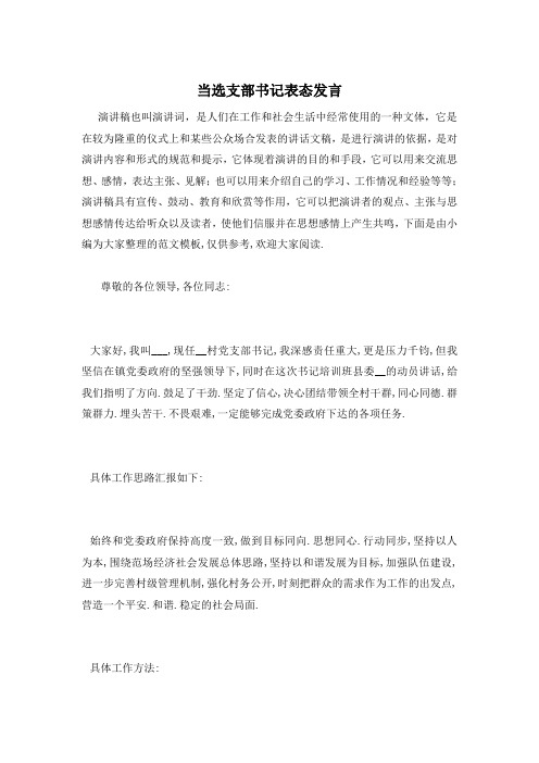 当选支部书记表态发言