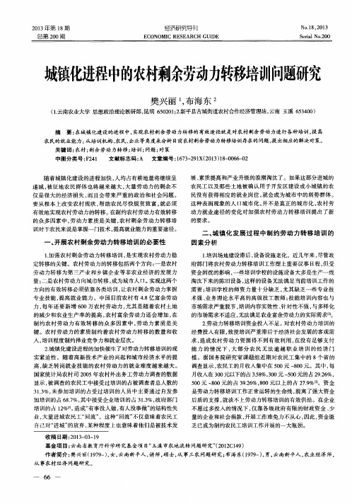 城镇化进程中的农村剩余劳动力转移培训问题研究