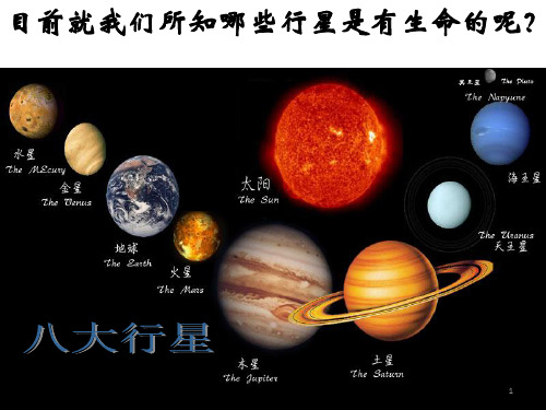 《神奇的生命世界》ppt课件