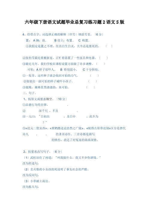 六年级下册语文试题毕业总复习练习题2语文S版
