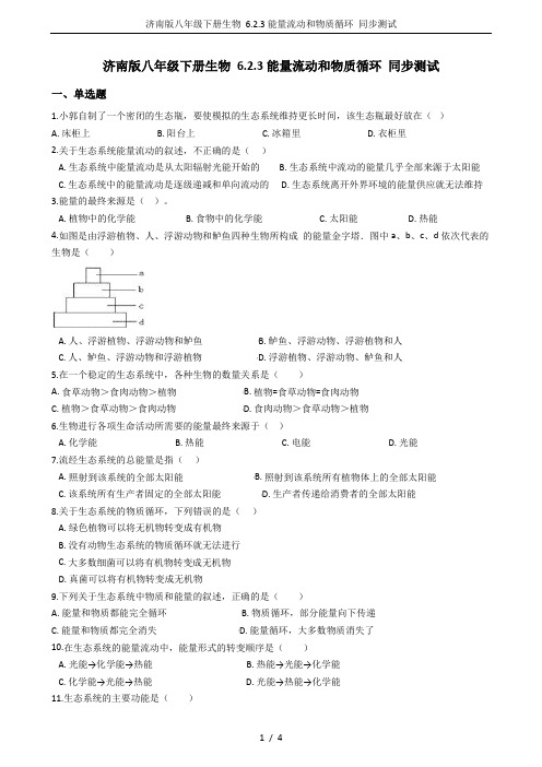 济南版八年级下册生物 6.2.3能量流动和物质循环 同步测试