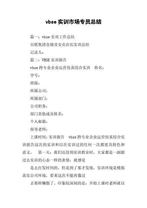 vbse实训市场专员总结