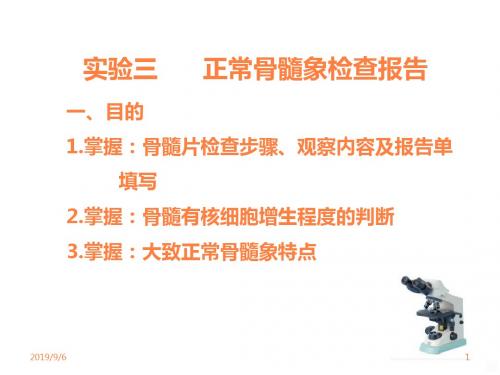 实验三骨髓检验报告ppt课件