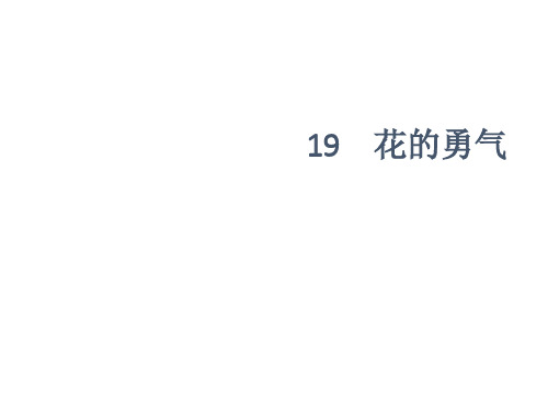 四年级下册语文课件20 花的勇气∣人教新课标 (共7张PPT)