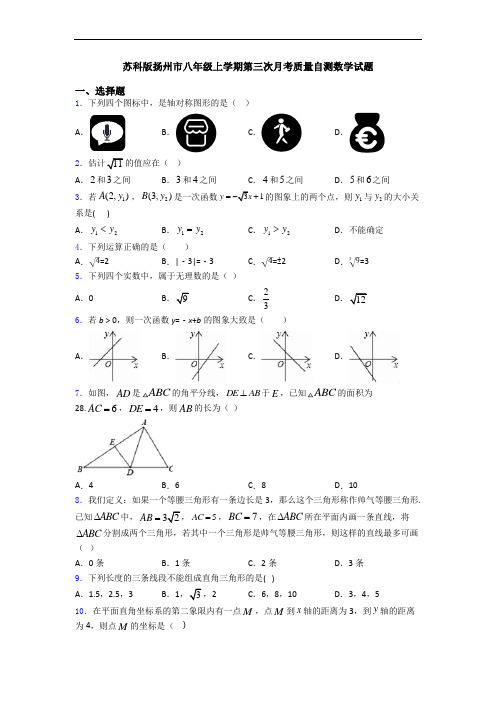 苏科版扬州市八年级上学期第三次月考质量自测数学试题