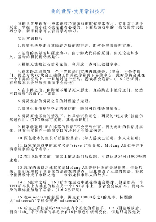 我的世界实用常识技巧