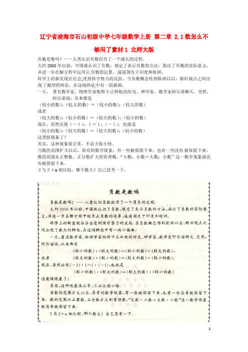七年级数学上册 第二章 2.1数怎么不够用了素材1 北师大版