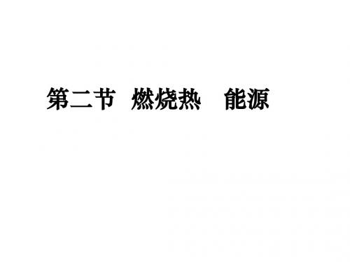 高二化学燃烧热  能源课件