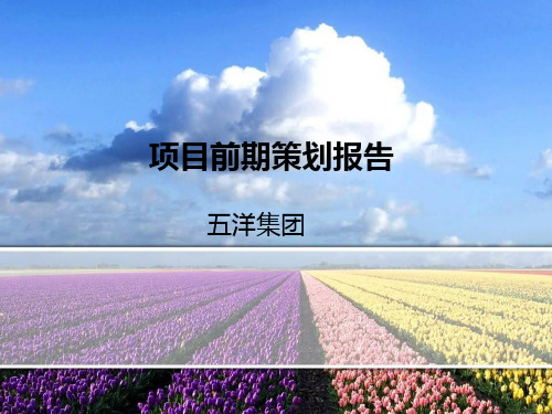项目前期策划报告