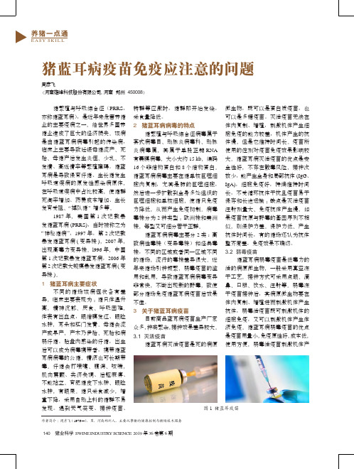猪蓝耳病疫苗免疫应注意的问题