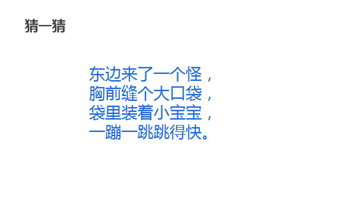 一年级下册美术第8课袋鼠妈妈的口袋湘美版