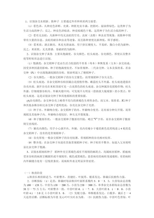 稻谷的识别