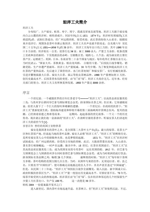 坦洋工夫简介