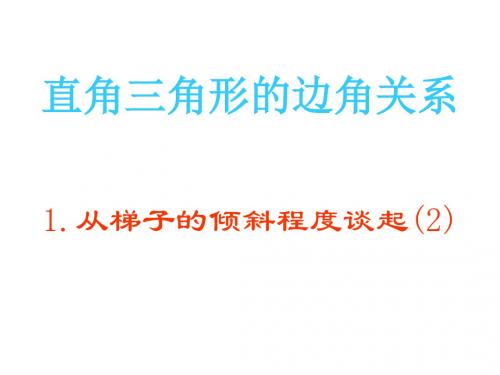 北师大版梯子2(2019新)