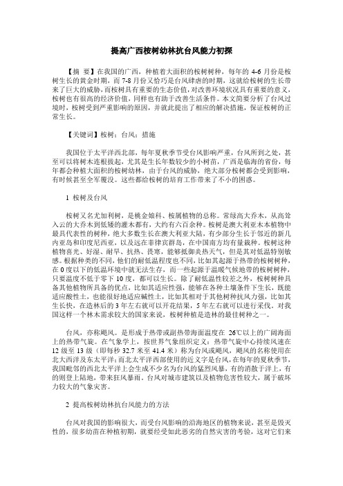 提高广西桉树幼林抗台风能力初探