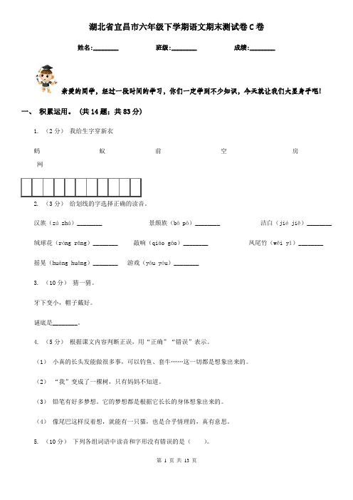 湖北省宜昌市六年级下学期语文期末测试卷C卷