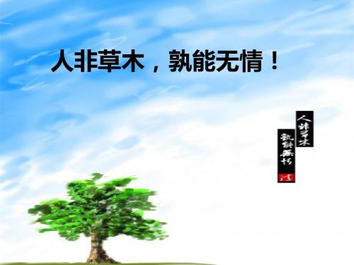 选择恰当的抒情方式