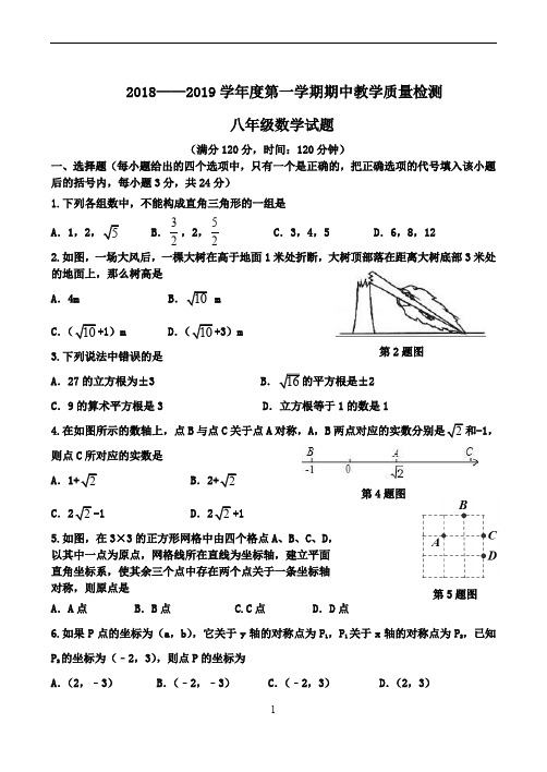 2018-2019第一学期八年级上期中考试数学试题及答案 北师大版
