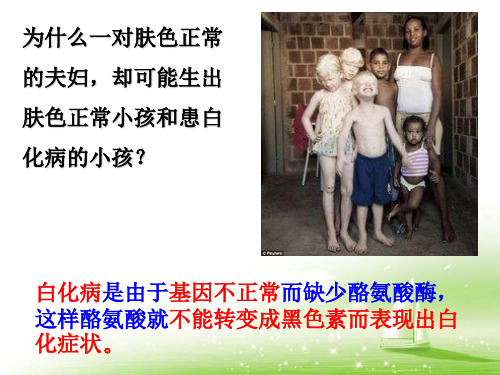 人教课标版生物八年级下册课件第二章 第三节 基因的显性和隐性课件(共33张PPT)