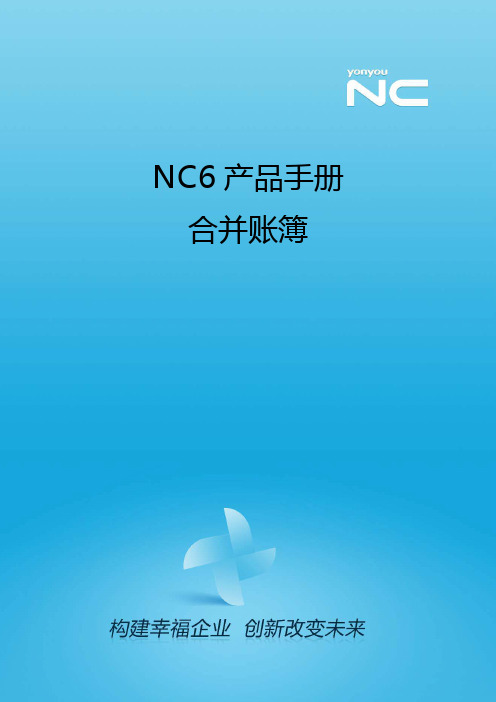 NC6产品手册-合并账簿