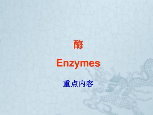 高中生物奥赛之生物化学重点串讲 酶