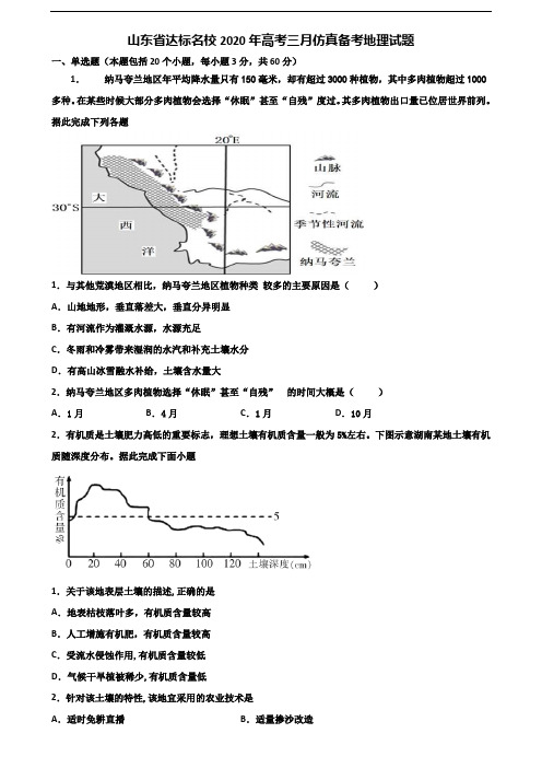 山东省达标名校2020年高考三月仿真备考地理试题含解析