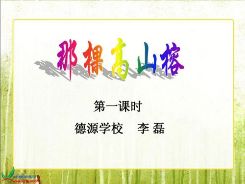 (西师大版)六年级语文上册课件_那棵高山榕_1