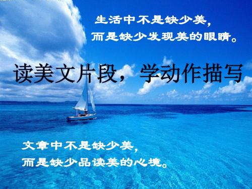 初中作文动作描写指导(2)