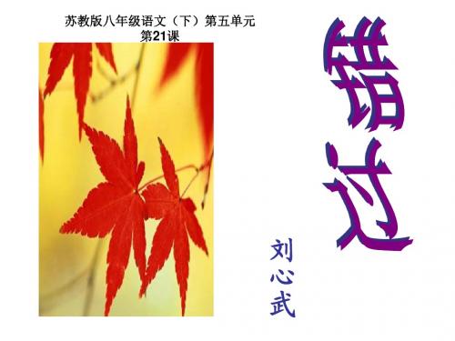 错过PPT30 苏教版 (共32张PPT)
