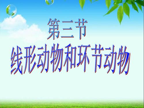 第三节 线形动物和环节动物