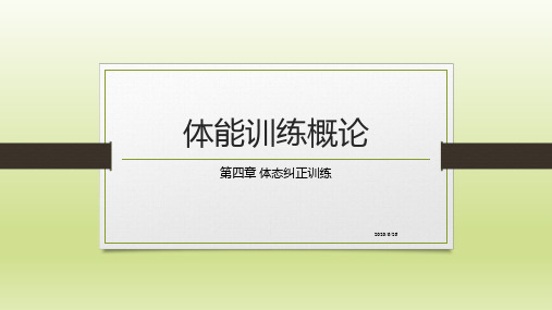 姿态纠正和FMS纠正训练(体能训练)