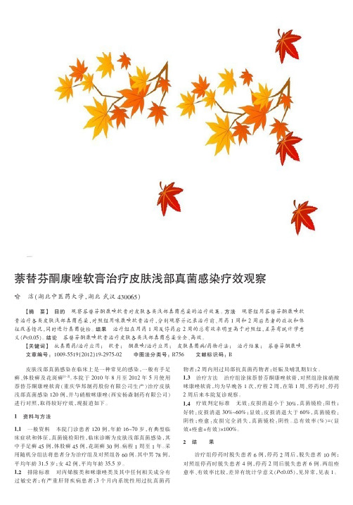 萘替芬酮康唑软膏治疗皮肤浅部真菌感染疗效观察