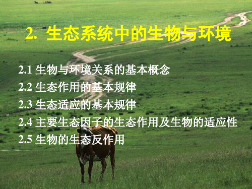 农业生态学 第2章 个体