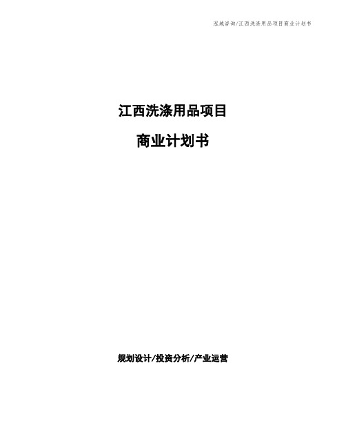 江西洗涤用品项目商业计划书
