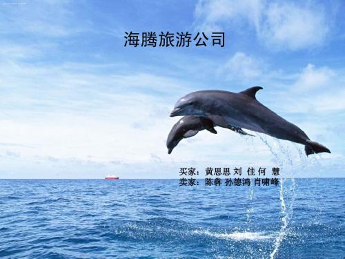 旅游公司PPT介绍