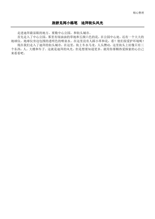 旅游见闻小练笔  迪拜街头风光