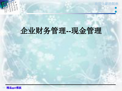 企业财务管理--现金管理