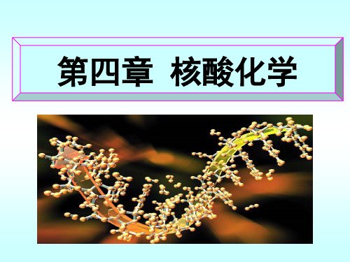 核酸化学(一)