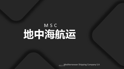 地中海航运公司MSC(整理).pptx