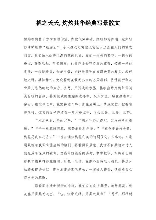 桃之夭夭,灼灼其华经典写景散文
