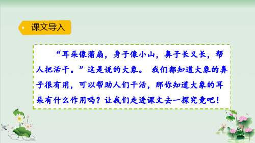 《大象的耳朵》课文分析1