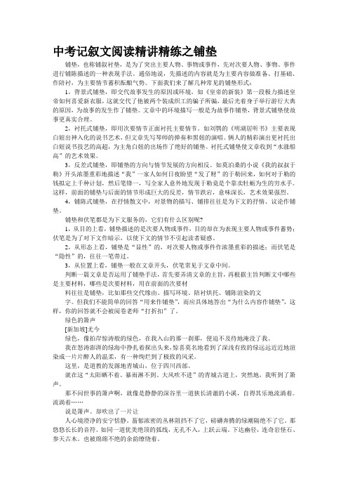中考记叙文阅读精讲精练之铺垫