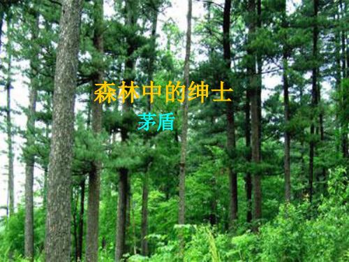 示范课件《森林中的绅士 茅盾》